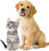 Lost Pets Pet Zone